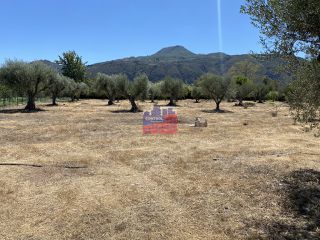 Οικόπεδο 4.396 τ.μ. για πώληση