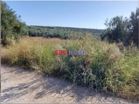 Αγροτεμάχια 1.537 τ.μ. για πώληση