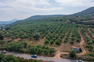 Οικόπεδο 22.000 τ.μ. για πώληση, Μεσσηνία, Πύλος-thumb-2
