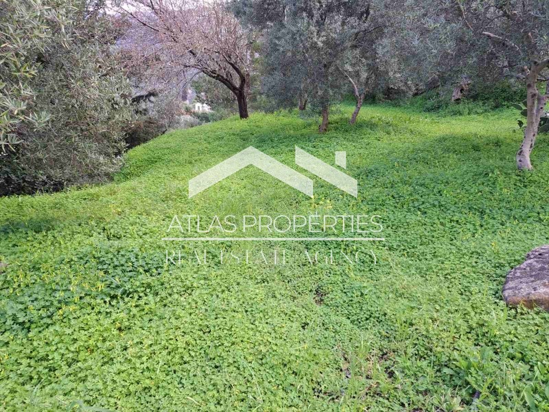 Αγροτεμάχια 300 τ.μ. προς πώληση, Τοπόλια