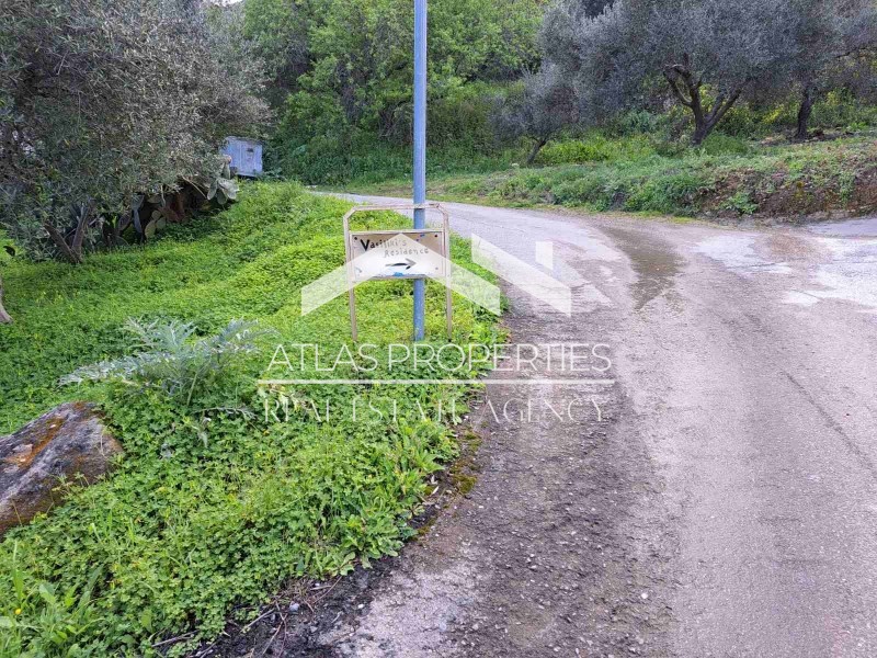 Αγροτεμάχια 300 τ.μ. προς πώληση, Τοπόλια