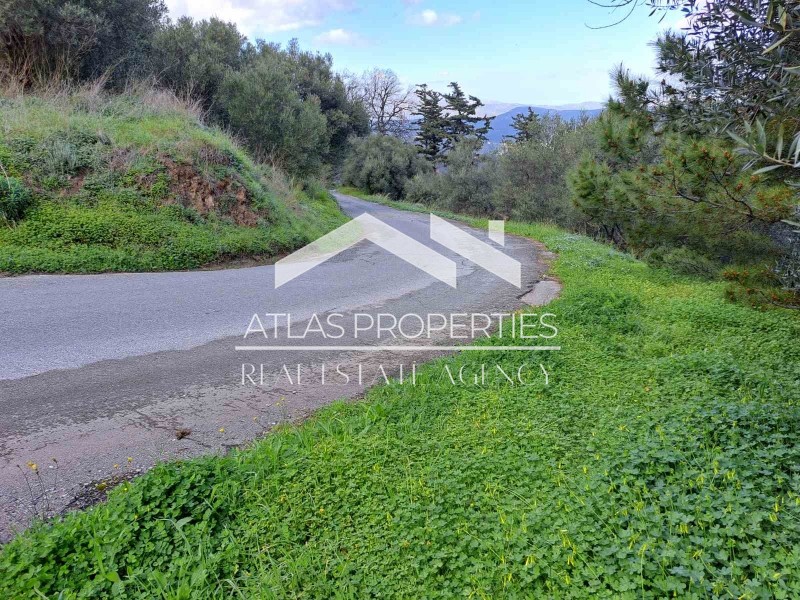 Αγροτεμάχια 300 τ.μ. προς πώληση, Τοπόλια