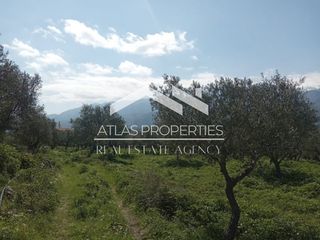 Οικόπεδο 1.728 τ.μ. για πώληση, Ν. Χανίων, Βάμος-thumb-2