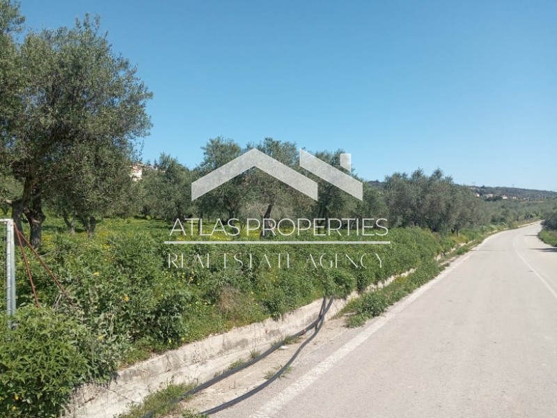 Οικόπεδο 1.728 τ.μ. προς πώληση, Κάινα