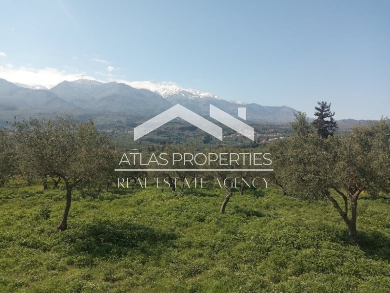 Οικόπεδο 1.728 τ.μ. προς πώληση, Κάινα