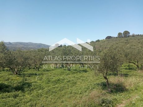 Land plot 1.728sqm for sale-Vamos » Kaina