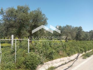 Μονοκατοικία 169 τ.μ. προς πώληση, Κάινα-thumb-20