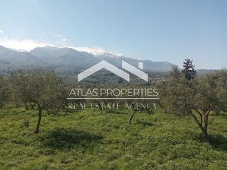 Μονοκατοικία 169 τ.μ. προς πώληση, Κάινα-thumb-19