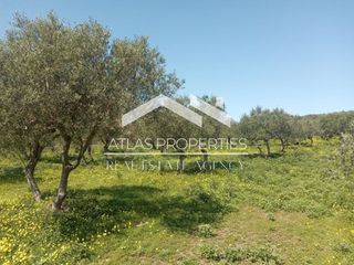 Μονοκατοικία 169 τ.μ. προς πώληση, Κάινα-thumb-22
