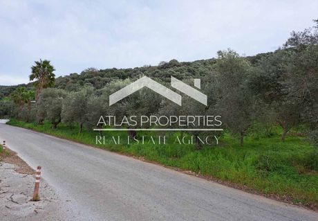Οικόπεδο 2.026τ.μ. για πώληση-Βουκολιές » Νεριανά