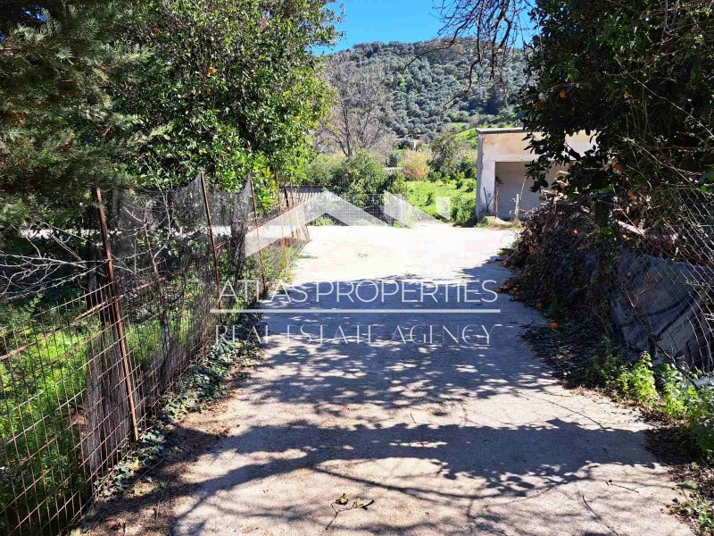 Οικόπεδο 604 τ.μ. προς πώληση, Κέντρο Βουκολιών