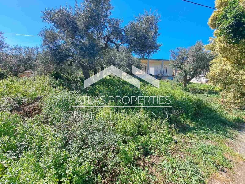 Οικόπεδο 281 τ.μ. προς πώληση, Κέντρο Βουκολιών