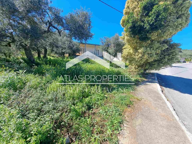 Οικόπεδο 281 τ.μ. προς πώληση, Κέντρο Βουκολιών