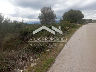 Οικόπεδο 6.000 τ.μ. για πώληση