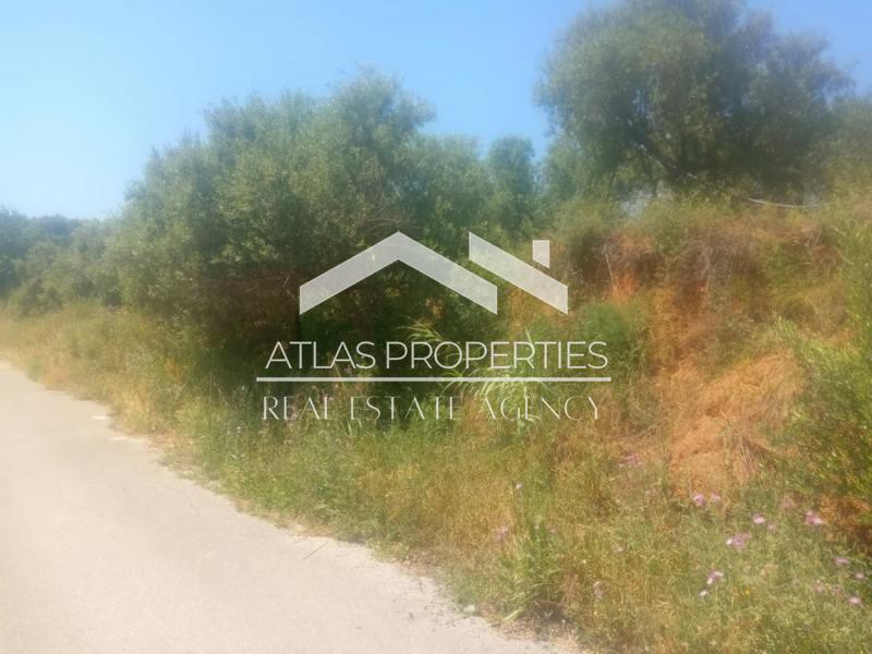 Οικόπεδο 1.265 τ.μ. προς πώληση, Μάλεμε