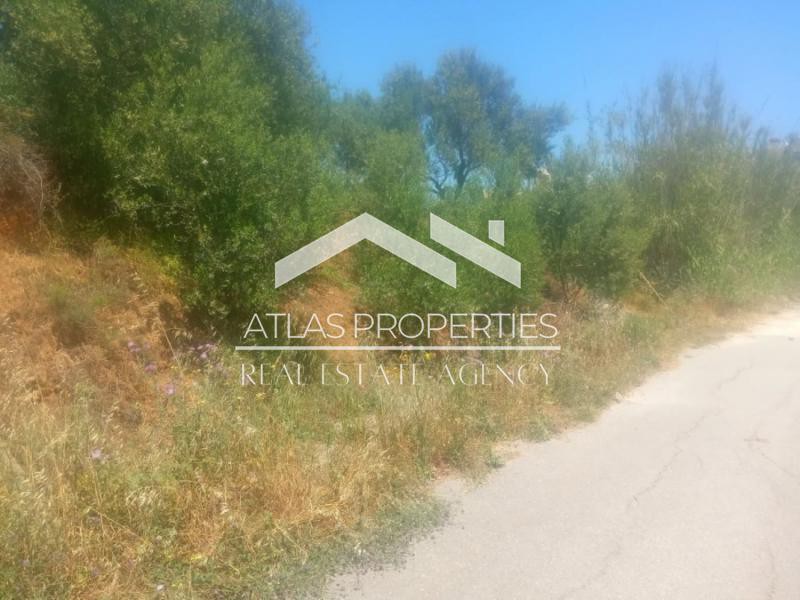 Οικόπεδο 1.265 τ.μ. προς πώληση, Μάλεμε