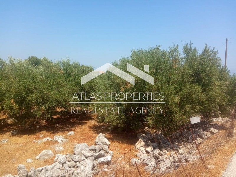 Οικόπεδο 2.930 τ.μ. προς πώληση, Κόκκινο Χωριό