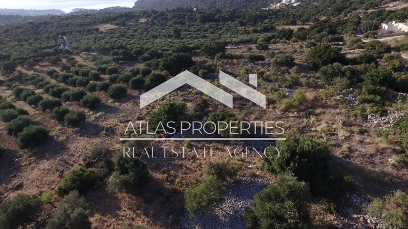 Οικόπεδο 4.000 τ.μ. προς πώληση, Γαβαλοχώρι