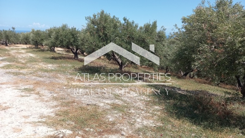 Οικόπεδο 10.000 τ.μ. προς πώληση, Ξαμουδοχώρι