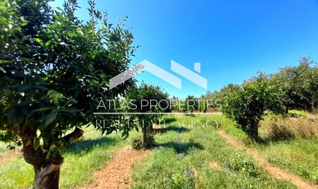 Οικόπεδο 600 τ.μ. για πώληση