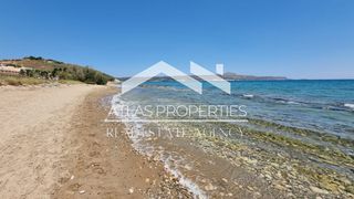 Οικόπεδο 15.000 τ.μ. για πώληση, Ν. Χανίων, Αρμενοί-thumb-3