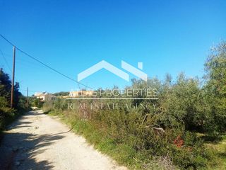 Οικόπεδο 5.700 τ.μ. πρός πώληση, Ν. Χανίων, Βάμος-thumb-7