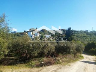 Οικόπεδο 5.700 τ.μ. πρός πώληση, Ν. Χανίων, Βάμος-thumb-3