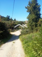 Οικόπεδο 5.700 τ.μ. πρός πώληση, Ν. Χανίων, Βάμος-thumb-1