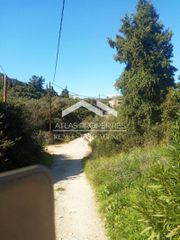 Οικόπεδο 5.700 τ.μ. πρός πώληση, Ν. Χανίων, Βάμος-thumb-5