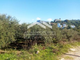 Οικόπεδο 5.700 τ.μ. πρός πώληση, Ν. Χανίων, Βάμος-thumb-6