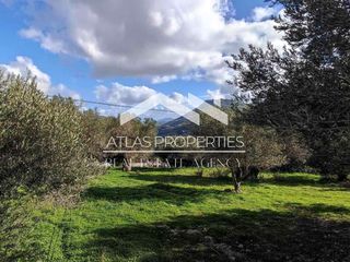 Οικόπεδο 1.065 τ.μ. για πώληση, Ν. Ρεθύμνου, Φοινίκας-thumb-15