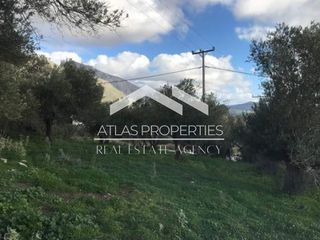 Οικόπεδο 1.065 τ.μ. για πώληση, Ν. Ρεθύμνου, Φοινίκας-thumb-11