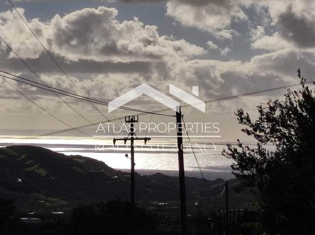 Land plot 1.065sqm for sale-Foinikas » Asomatos