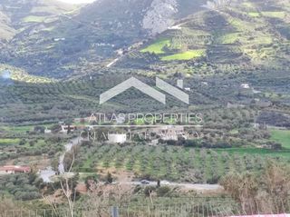 Οικόπεδο 1.065 τ.μ. για πώληση, Ν. Ρεθύμνου, Φοινίκας-thumb-5