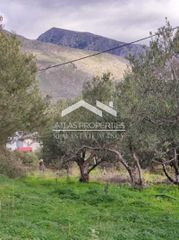 Οικόπεδο 1.065 τ.μ. για πώληση, Ν. Ρεθύμνου, Φοινίκας-thumb-2
