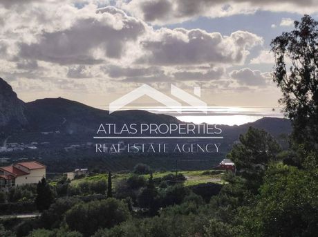 Οικόπεδο 6.390τ.μ. για πώληση-Φοινίκας » Ασώματος