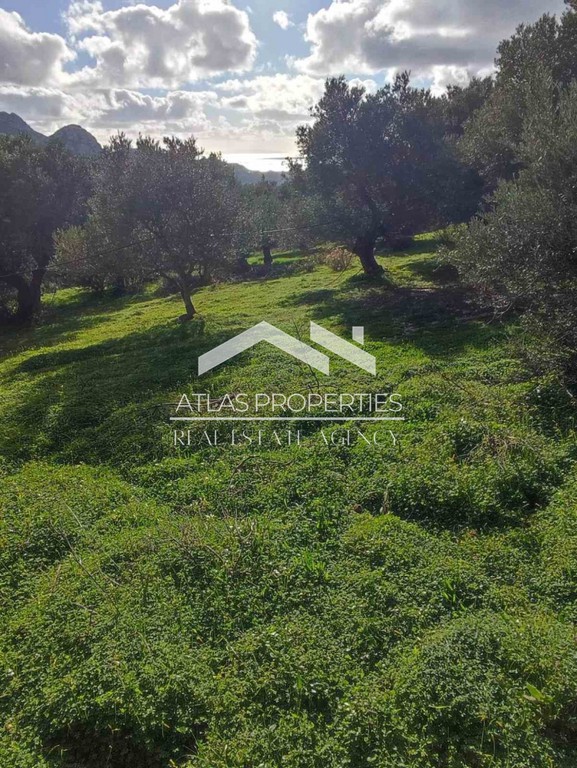 Οικόπεδο 6.390 τ.μ. πρός πώληση, Ν. Ρεθύμνου, Φοινίκας