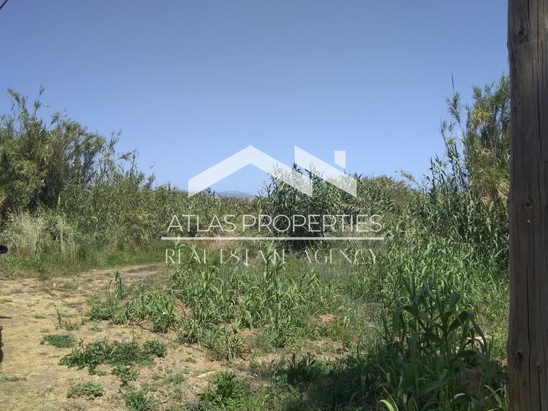 Οικόπεδο 1.970 τ.μ. για πώληση, Ν. Χανίων, Πλατανιάς