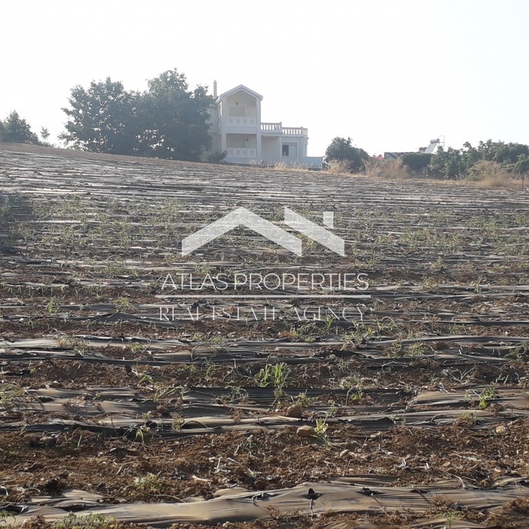 Οικόπεδο 6.500 τ.μ. προς πώληση, Ν. Χανίων, Νέα Κυδωνία