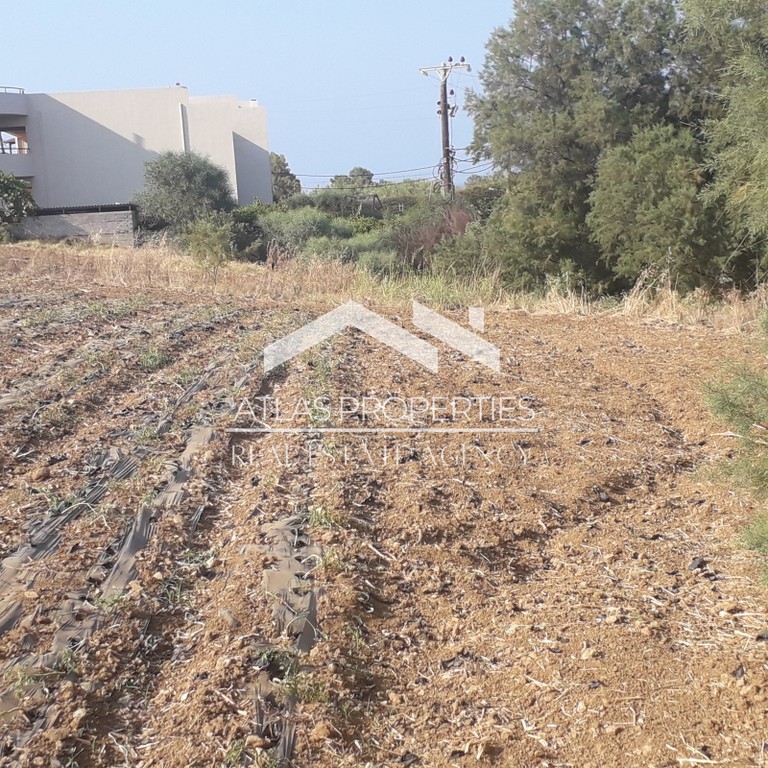 Οικόπεδο 6.500 τ.μ. προς πώληση, Ν. Χανίων, Νέα Κυδωνία