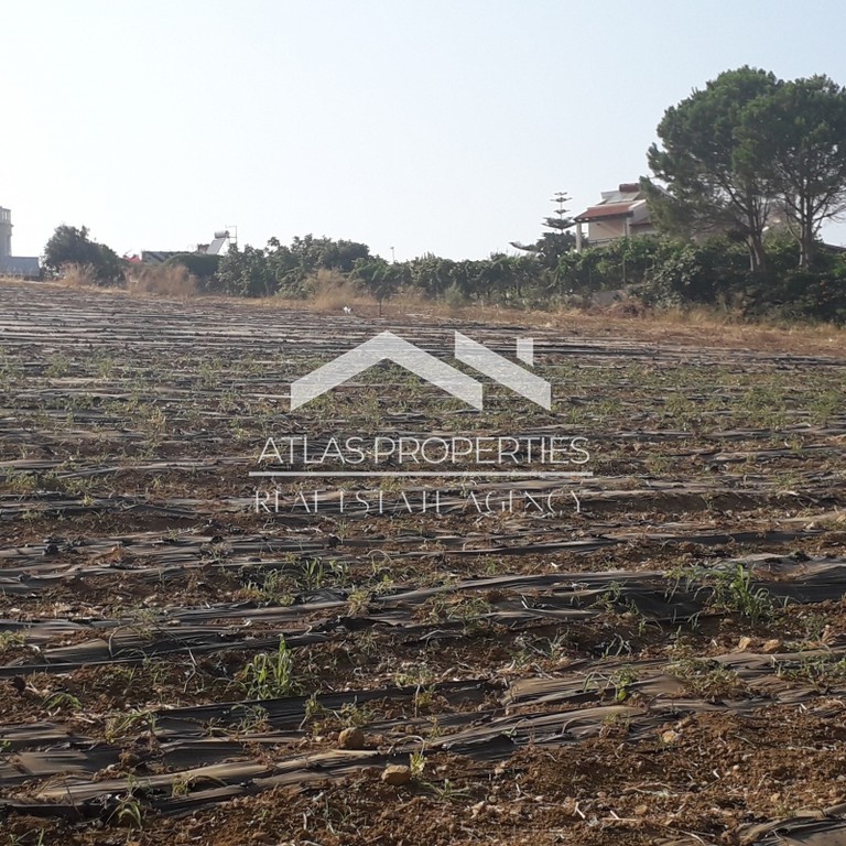 Οικόπεδο 6.500 τ.μ. προς πώληση, Ν. Χανίων, Νέα Κυδωνία