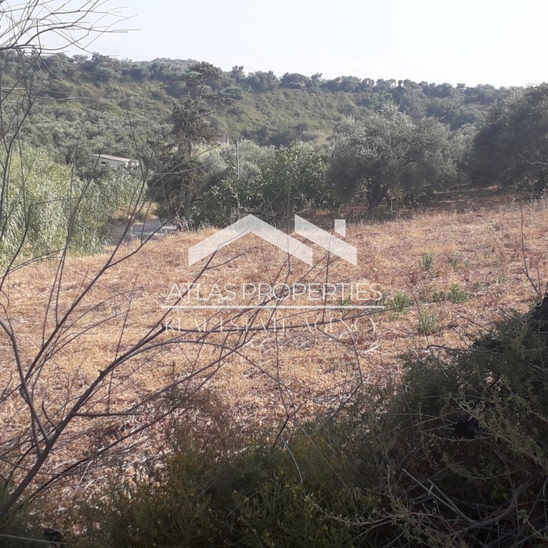 Οικόπεδο 6.500 τ.μ. προς πώληση, Ν. Χανίων, Νέα Κυδωνία