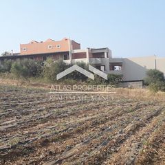 Οικόπεδο 6.500 τ.μ. για πώληση