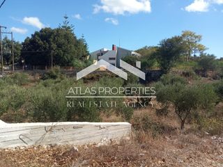Οικόπεδο 3.984 τ.μ. για πώληση, Ν. Χανίων, Βάμος-thumb-4