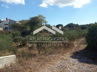 Οικόπεδο 3.984 τ.μ. για πώληση, Ν. Χανίων, Βάμος-thumb-1