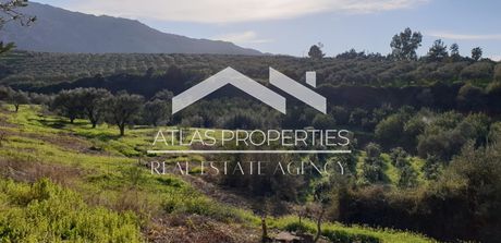 Land plot 6.904sqm for sale-Therisos » Varipetro