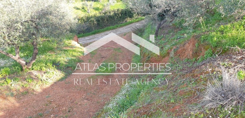 Οικόπεδο 6.904 τ.μ. προς πώληση, Βαρύπετρο