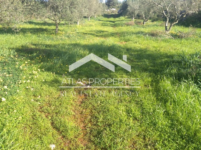 Οικόπεδο 1.712 τ.μ. προς πώληση, Καθιανά