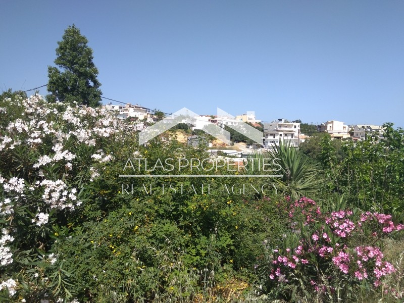 Οικόπεδο 708 τ.μ. προς πώληση, Δαράτσος