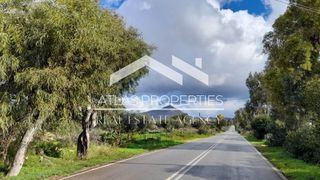 Οικόπεδο 5.930 τ.μ. προς πώληση, Στέρνες Ακρωτηρίου-thumb-1
